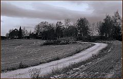 photo "Presentiment of the winter"
