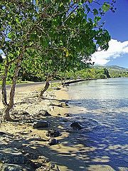 photo "Paradise"