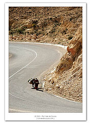 photo "walking in matmata"