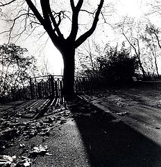 фото "."
