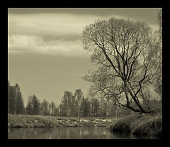 photo "***"