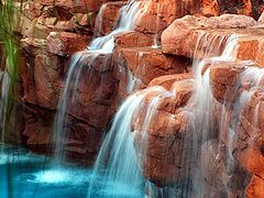 photo "Oasis"