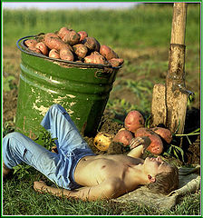 photo "The Impressions from trip to grandmother in villag"