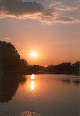 photo "Untitled photo"