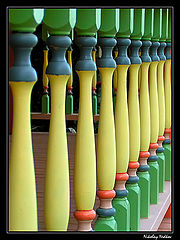 photo "Colors"