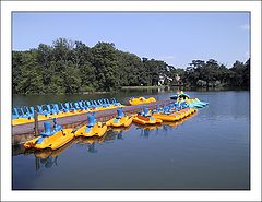 фото "Yellow Boats"