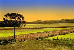 photo "Rural scene"