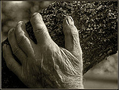 photo "Flesh from flesh"