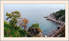 photo "Coast"