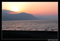 photo "Swimming with Sunset!!"