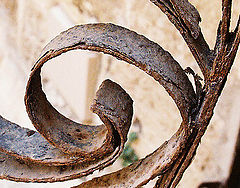 photo "curves"