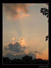 photo "Rise radiant"