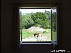 photo "Through the window"