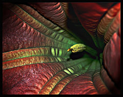 фото "* * *"
