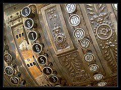 photo "Buttons"