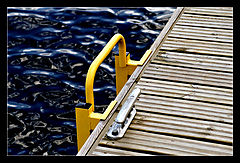 photo "Contrasts"