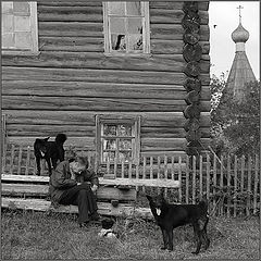 фото "Деревенский этюд"