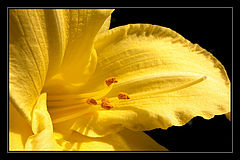 photo "###"