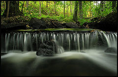 photo "Fall"