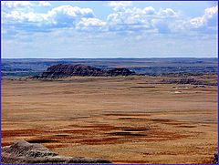 photo "Ancient Spread"