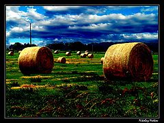 photo "Untitled photo"
