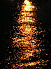 photo "Liquid Light"