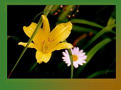 фото "Beauty of nature3"
