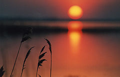 photo "Untitled photo"