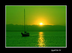 фото "Green Sunset"