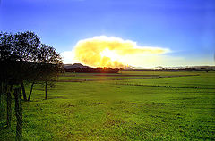 photo "Burn"