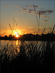 photo "***"