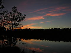 фото "summer night"