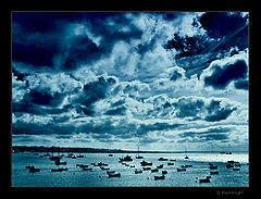 photo "Battle for a New Day"