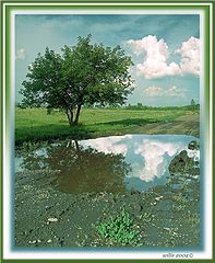 фото "Лужа"