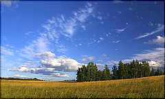 фото "Среднерусский пейзаж."