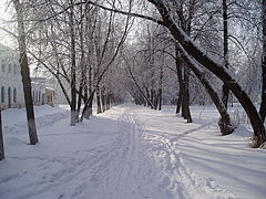 photo "Winter"