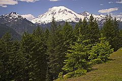 photo "Mount Rainier"