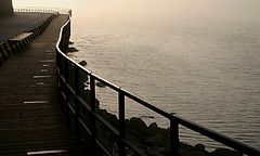 photo "To the light"