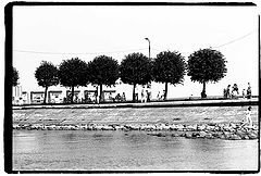 photo "LolyPoP`s"