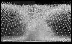 photo "Water phantom"