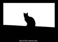 photo "Black Cat"