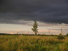фото "Одиночество"