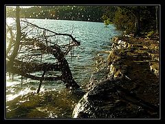 photo "Untitled photo"