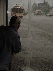 photo "Downpour"