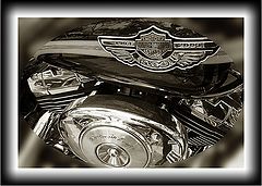 photo "100 years"