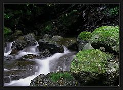 photo "among the stones"