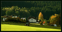 photo "Untitled photo"