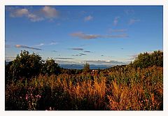 photo "Exit summer, welcome back next year"