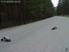 photo "go and slip"