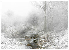 photo "Nostalgia on winter"